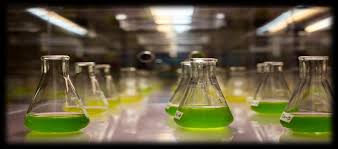 10 Basic Chemicals Manufacturers & Suppliers in Bahrain